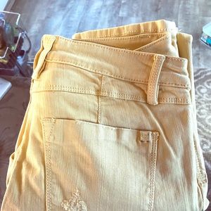 heartbreaker pants-dandelion yellow